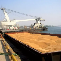 Россия с 1 по 23 июля увеличила экспорт пшеницы на 30% — до 2 млн. тонн