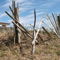 3,6 млн. гектаров неиспользуемых земель выявил космический мониторинг в Казахстане