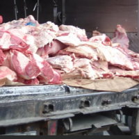 Многоходовка: 17 тонн мяса не пропустили в Омск из Северо-Казахстанской области 