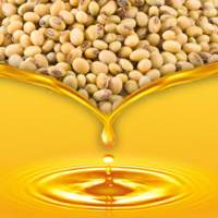 Последняя капля: в Китае закрываются маслозаводы по переработке соевых бобов 