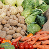 В Казахстане запускается новый механизм форвардного закупа овощной продукции у аграриев