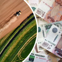 Минсельхоз России скорректировал правила закупочных интервенций на рынке агропродукции