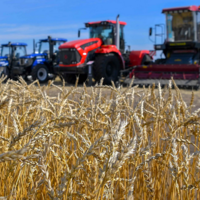 С 1 июня в Казахстане меняется залоговая политика в АПК