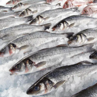 Казахстан намерен ввести запрет на экспорт замороженной рыбы