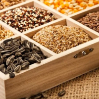 Запасы масличных культур в Казахстане к началу текущего года превысили 1,8 млн. тонн