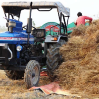 USDA: запасы пшеницы в мире сократились до минимума за четыре года — до 267,5 млн. тонн