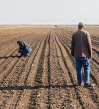 Недостаточными оказались условия влагонакопления в некоторых зерносеющих областях Казахстана
