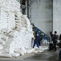 Россия останавливает экспорт зерна и сахара до осени