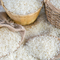 Россия продлит запрет на экспорт риса на первое полугодие 2023 года