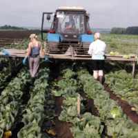 Изучили кошельки: зарплаты в сфере сельского хозяйства почти на 40% ниже, чем в среднем по Казахстану