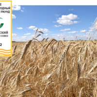 Российский зерновой союз проводит XXIII Международный зерновой раунд «Рынок зерна — вчера, сегодня, завтра»