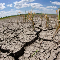 В каких регионах Казахстана в этом году ожидается сильная засуха?