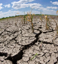 В каких регионах Казахстана в этом году ожидается сильная засуха?