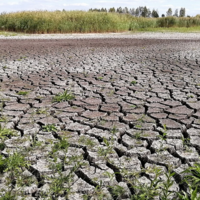 Первое штормовое предупреждение: в Кызылординскую область надвигается атмосферная засуха