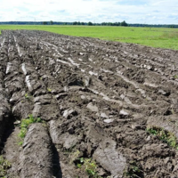 С 1 января в Казахстане установлены ограничения на перепродажу земельных участков 