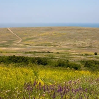 В Казахстане сведения государственного земельного кадастра с 1 января стали открытыми  