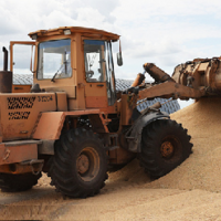 Александр Лукашенко: «В этом году Белоруссия не будет экспортировать зерно»