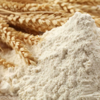 Уже скоро десант узбекских мукомолов прибудет на Asia Grains&Oils Conference in Qazaqstan 2022