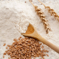 Зерновики и мукомолы Казахстана рискуют потерять позиции в Центральной Азии из-за российской продукции