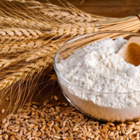 Дефицита нет: в Казахстане определены квоты на экспорт пшеницы и муки 