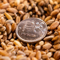 Путин предложил Макрону и Шольцу отменить антироссийские санкции в обмен на зерно и удобрения