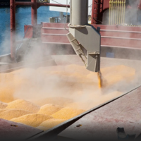 В Анкаре рассчитывают по зерновому коридору перевезти до 50 миллионов тонн зерна до конца года 