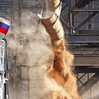 Российское зерно будут перерабатывать в Турции и отправлять в бедные страны Африки