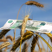 Рублевый переход: в следующем году Россия намерена поменять порядок расчетов за сельхозпродукцию