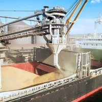 Минобороны РФ: после теракта в Севастополе Россия приостанавливает «зерновую сделку»