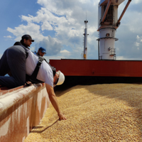 Генсек ООН: все стороны согласились продлить стамбульскую зерновую сделку на 120 дней