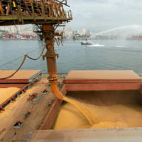 Более 7,6 млн. тонн украинского продовольствия экспортировано в рамках стамбульской зерновой сделки