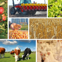 Концепция АПК: как будет развиваться сельское хозяйство Казахстана в ближайшие 7 лет