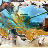 Минсельхоз: какие изменения ожидают АПК Казахстана в 2023 году? 