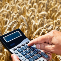 Казахстан: региональные акиматы задолжали фермерам 26 млрд. тенге