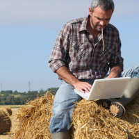 Долги по субсидиям: акиматы не выплатили фермерам порядка 27 млрд. тенге с прошлого года