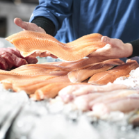 Рынок открыт: казахстанская рыбная продукция пойдет на экспорт в страны ЕС
