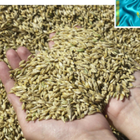 Казахстанское зерно может выйти на новые рынки сбыта