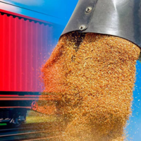 В Грузии досрочно снят запрет на экспорт пшеницы