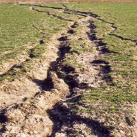 Площадь эродированных и эрозионно-опасных сельхозземель в Казахстане составляет более 90 млн. га