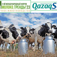 Тренды молочного животноводства обсудят на форуме в Петропавловске