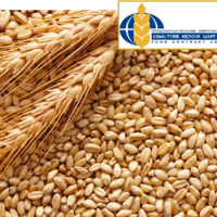 Продкорпорация РК объявила предварительные цены форвардного закупа на зерновые и масличные культуры урожая-2023