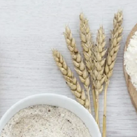 Первые 45 тонн пшеничного глютена из Северного Казахстана отправились в Бразилию