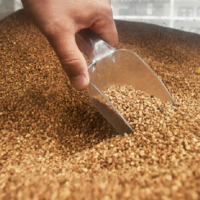 Казахстанские переработчики просят временно освободить от НДС импорт гречихи