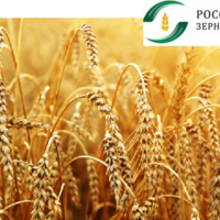 Первая Зерновая конференция «Поволжский вектор» пройдет в Казани 23 марта 2023 года 