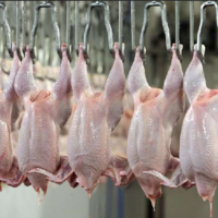 С начала нового года вступил в силу техрегламент ЕАЭС «О безопасности мяса птицы и продукции его переработки»