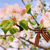 Календарь выходных: сколько дней отдохнут казахстанцы в мае?