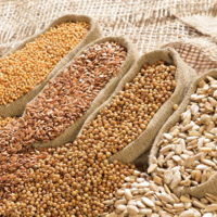 В Казахстане запас семян масличных культур на начало января составляет 2,5 млн. тонн