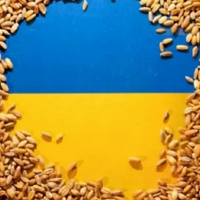 Польша и Словакия настаивают на продлении ограничений на импорт украинской агропродукции