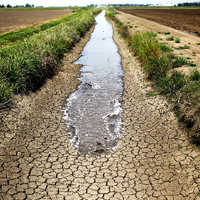 Фермеры южных регионов Казахстана испытывают острый дефицит поливной воды 