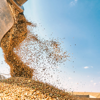 Казахстан планирует увеличить поставки пшеницы в Китай до 1 млн. тонн в год